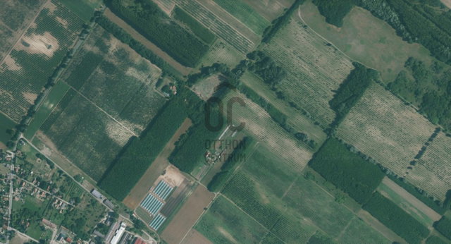 Eladó mezogazdasagi ingatlan, Dánszentmiklóson 3.9 M Ft