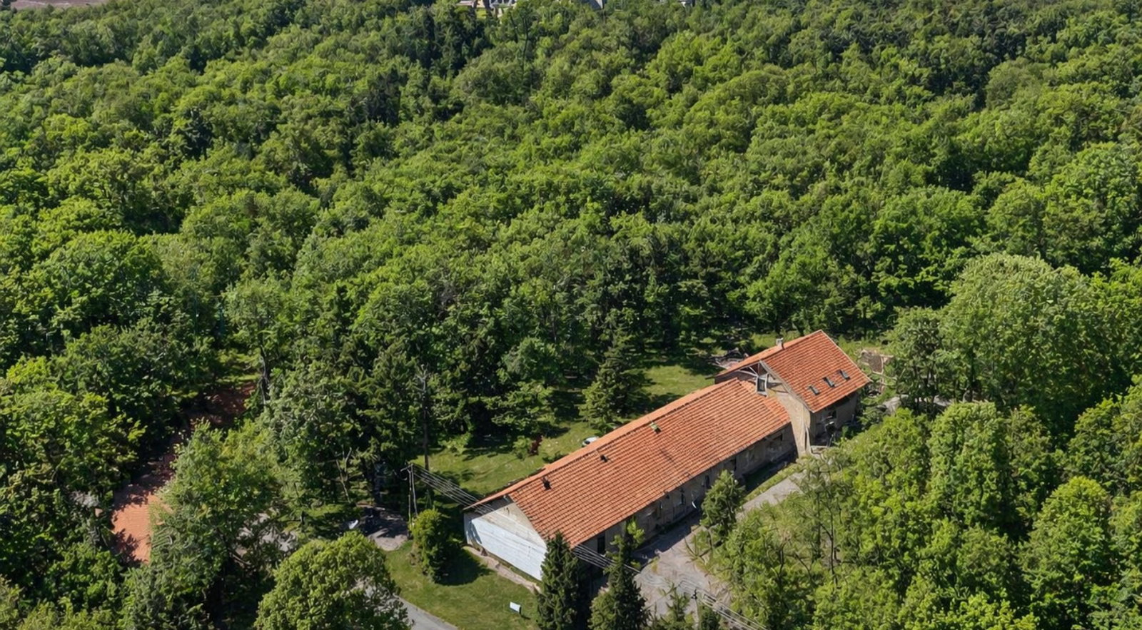 19 bed · 950m² · 119.000.000 ft