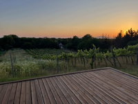 Eladó mezogazdasagi ingatlan, Balatonlelleén 29.5 M Ft