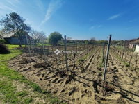 Eladó mezogazdasagi ingatlan, Monoron 25.9 M Ft
