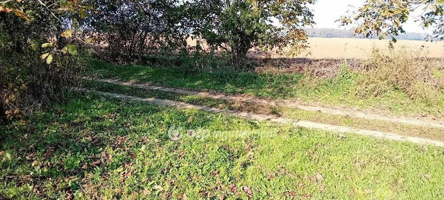 Eladó telek, Kaposváron 3.5 M Ft / költözzbe.hu