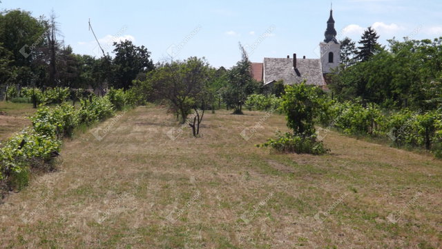 Eladó telek, Homokbödögén 4.5 M Ft / költözzbe.hu