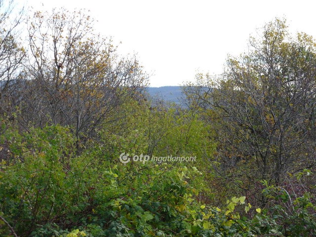 Eladó telek, Zalahalápon 9.9 M Ft / költözzbe.hu