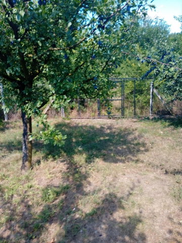 Eladó telek, Gyomaendrődön 11.5 M Ft / költözzbe.hu