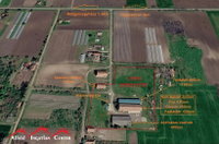 Eladó ipari ingatlan, Medgyesegyházán 89.9 M Ft