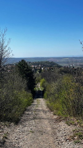 Eladó telek, Pécsett 17.9 M Ft / költözzbe.hu