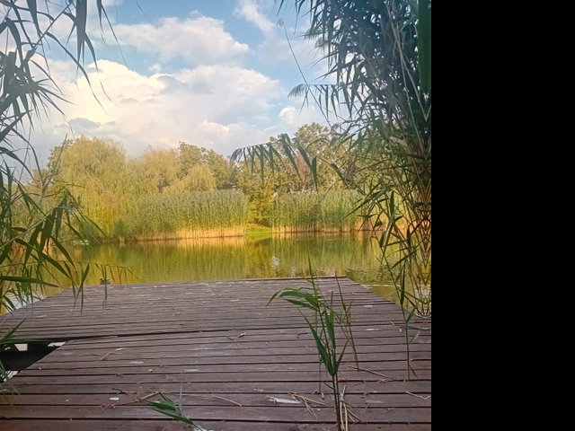 Eladó nyaraló, Gyomaendrődön, Hantoskerti úton 34.9 M Ft
