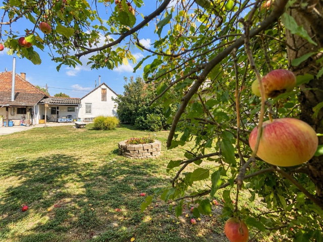 Eladó családi ház, Szigethalmon 84.9 M Ft, 5 szobás