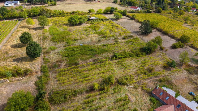 Eladó családi ház, Badacsonytomajon 99.9 M Ft, 3+2 szobás
