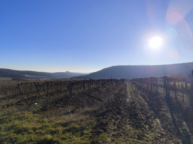 Eladó mezogazdasagi ingatlan, Balatoncsicsón 4.6 M Ft