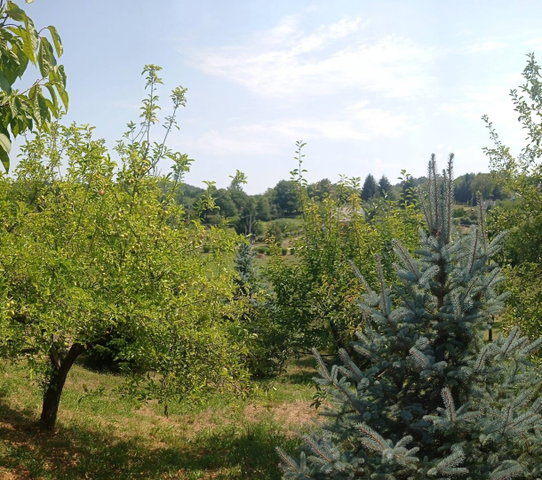 Eladó telek, Nagykanizsán 4.25 M Ft / költözzbe.hu