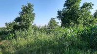 Eladó telek, Ököritófülpösön 2.99 M Ft / költözzbe.hu