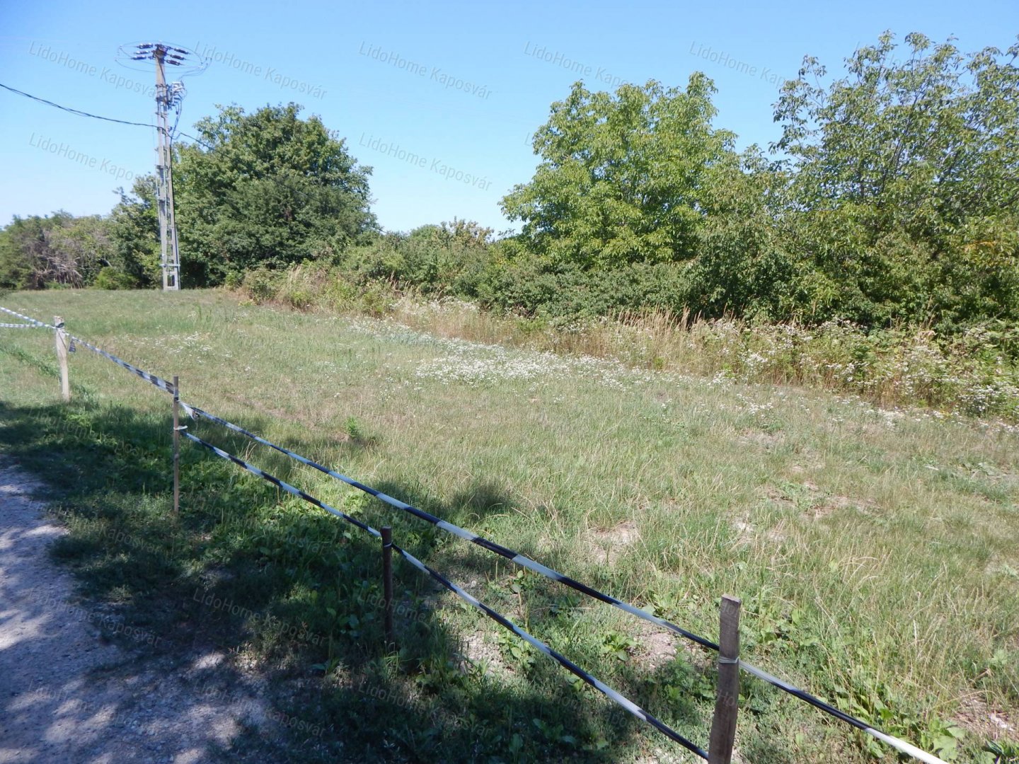 1631 m² · 1.999.000 Ft