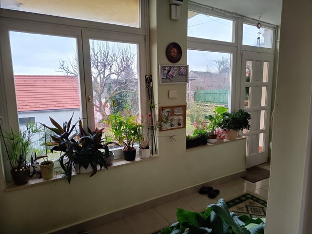 Eladó téglalakás, Pécsett 105 M Ft, 4 szobás