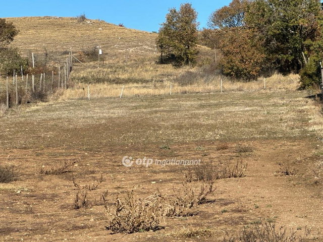 Eladó mezogazdasagi ingatlan, Várpalotán 10.6 M Ft