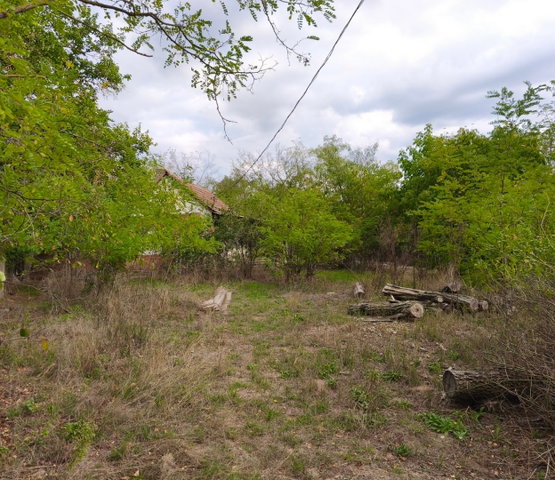 Eladó mezogazdasagi ingatlan, Kelebián 4.8 M Ft