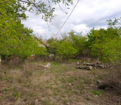 Eladó mezogazdasagi ingatlan, Kelebián 4.8 M Ft
