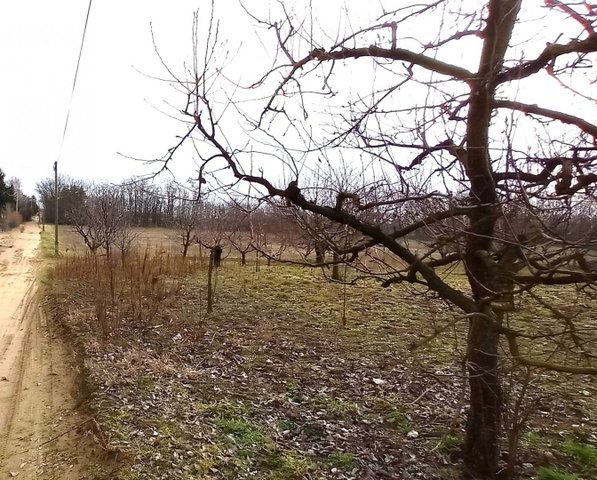 Eladó telek, Nyíregyházán 14.5 M Ft / költözzbe.hu