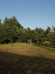 Eladó mezogazdasagi ingatlan, Kecskeméten 4.6 M Ft