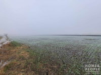 Eladó mezogazdasagi ingatlan, Röszkén 1.9 M Ft