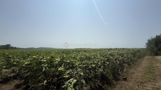 Eladó mezogazdasagi ingatlan, Pátyon 16.4 M Ft