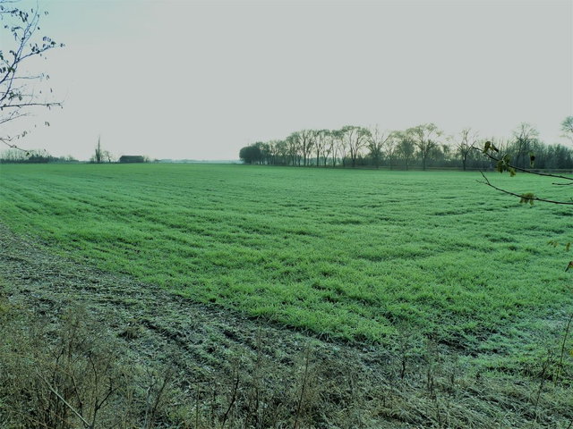 Eladó ipari ingatlan, Kecskeméten 61 M Ft / költözzbe.hu