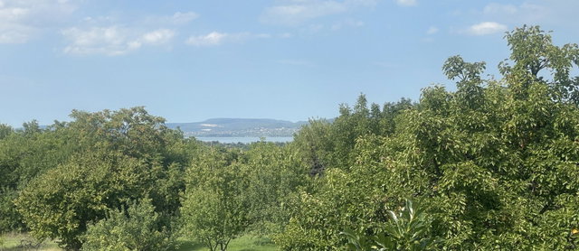 Eladó mezogazdasagi ingatlan, Balatonberényben 42.5 M Ft