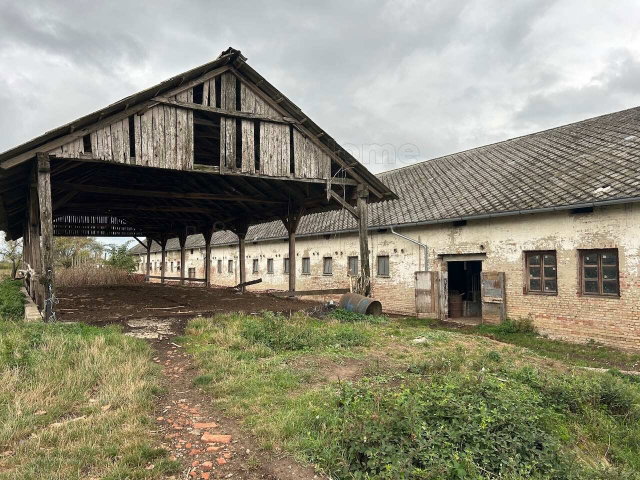 Eladó mezogazdasagi ingatlan, Gelsén 140 M Ft