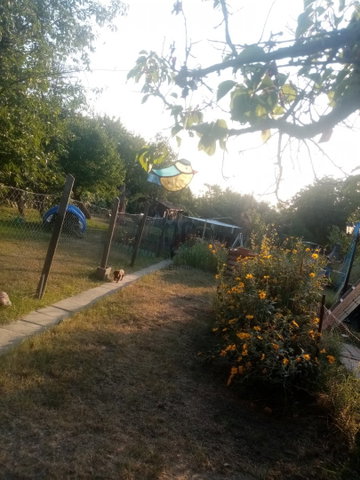 Eladó mezogazdasagi ingatlan, Budapesten, XXIII. kerületben