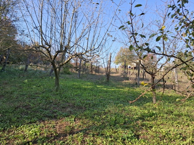 Eladó nyaraló, Galambokon 8.5 M Ft, 1 szobás