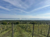 Eladó telek, Balatonakaliban 200 M Ft / költözzbe.hu