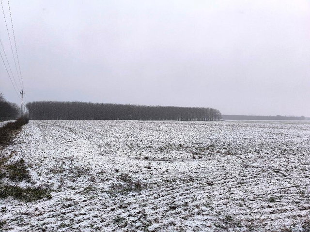 Eladó ipari ingatlan, Ócsán 1436 M Ft / költözzbe.hu