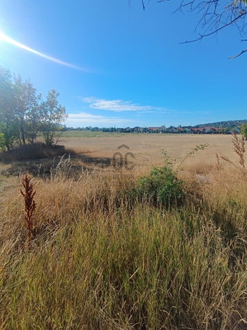 Eladó mezogazdasagi ingatlan, Budakalászon 500 M Ft
