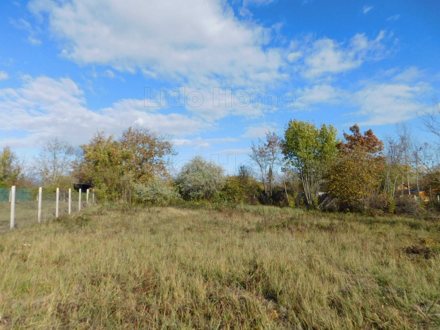 350m² · 19.900.000 ft