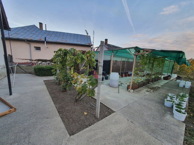 Eladó családi ház, Nyírtasson 13 M Ft, 2 szobás