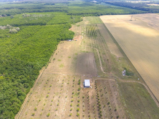 Eladó mezogazdasagi ingatlan, Sződön 34.99 M Ft