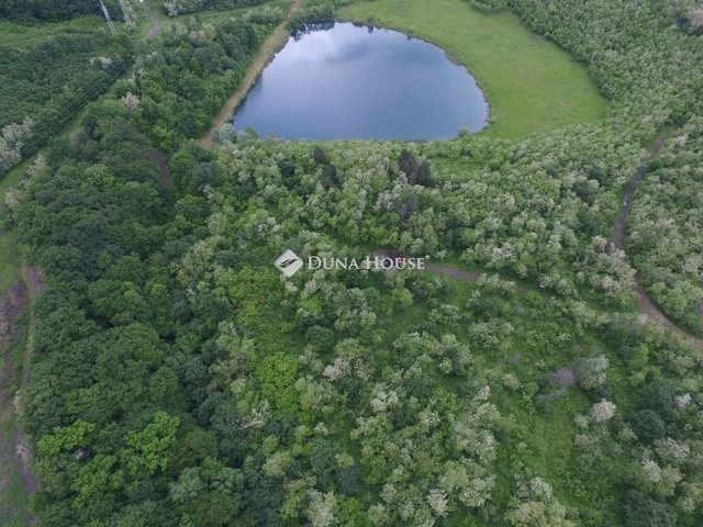 Eladó ipari ingatlan, Pécsett, Rücker-akna 250 M Ft