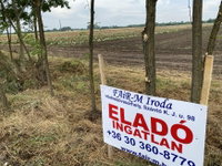 Eladó mezogazdasagi ingatlan, Szegeden 13.9 M Ft