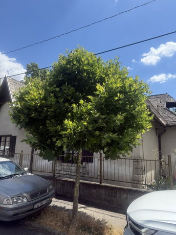 Kiadó családi ház, albérlet, Győrött 400 E Ft / hó, 2 szobás