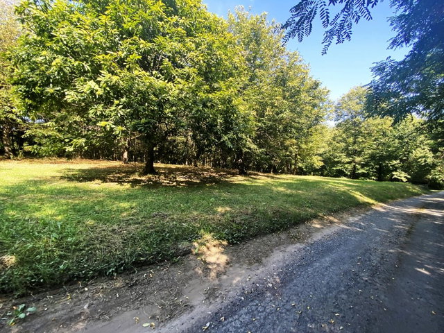 Eladó telek, Nagykanizsán 3.3 M Ft / költözzbe.hu