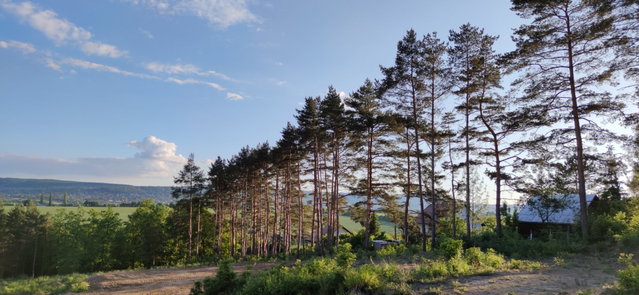 Eladó telek, Pilisborosjenőn, Nyúl utcában 60 M Ft