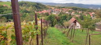 Eladó telek, Miskolcon 2.002 M Ft / költözzbe.hu