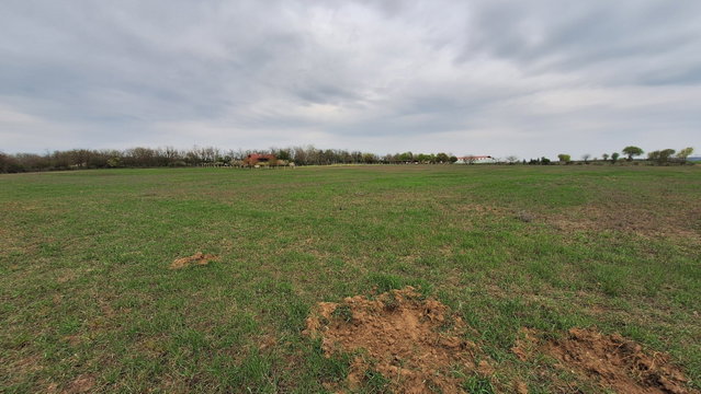Eladó mezogazdasagi ingatlan, Gödöllőn 41.9 M Ft