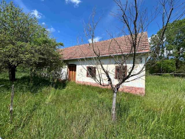 Eladó mezogazdasagi ingatlan, Homokkomáromon 19.95 M Ft, 1 szobás