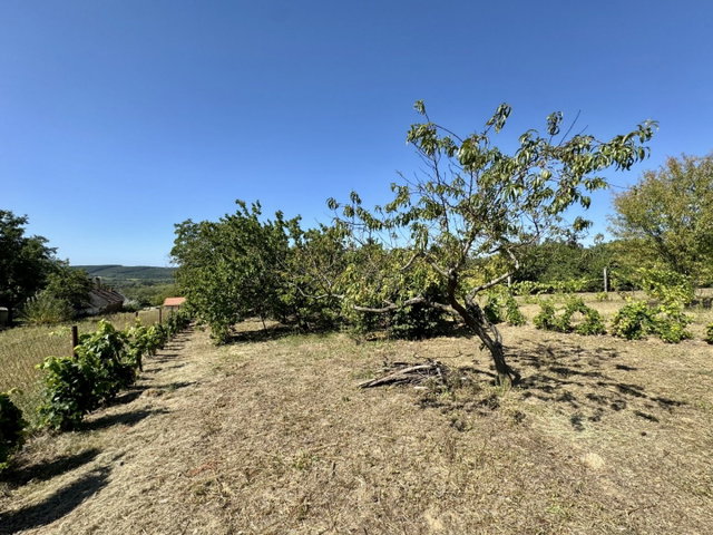 Eladó nyaraló, Vindornyaszőlősön 5.9 M Ft, 2 szobás