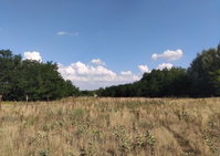 Eladó mezogazdasagi ingatlan, Lajosmizsén 3 M Ft