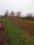Eladó mezogazdasagi ingatlan, Balatonszárszón 14 M Ft