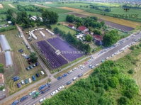Eladó mezogazdasagi ingatlan, Csongrádon 6 M Ft