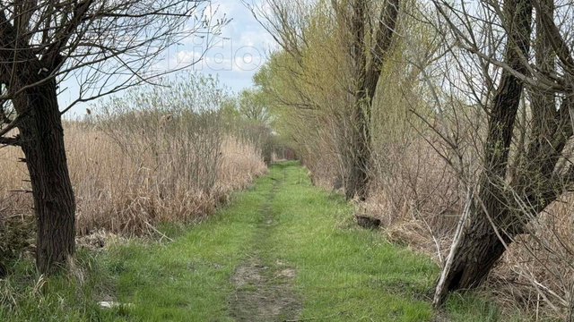 Eladó nyaraló, Balatonmáriafürdőn 95 M Ft, 3 szobás
