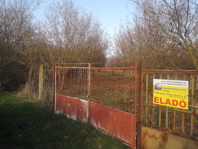 Eladó mezogazdasagi ingatlan, Gyulán 20 M Ft